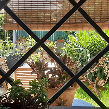Fabiola B & B Marino Εξωτερικό φωτογραφία