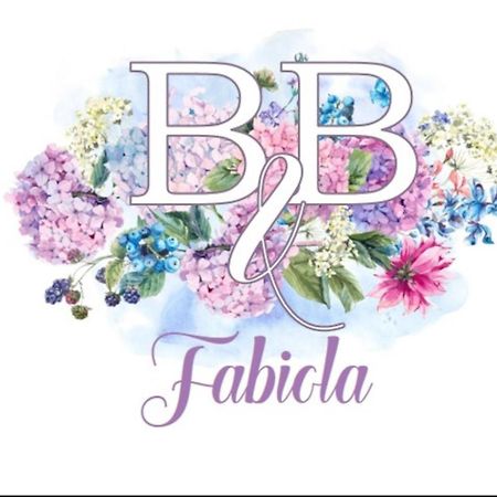 Fabiola B & B Marino Εξωτερικό φωτογραφία