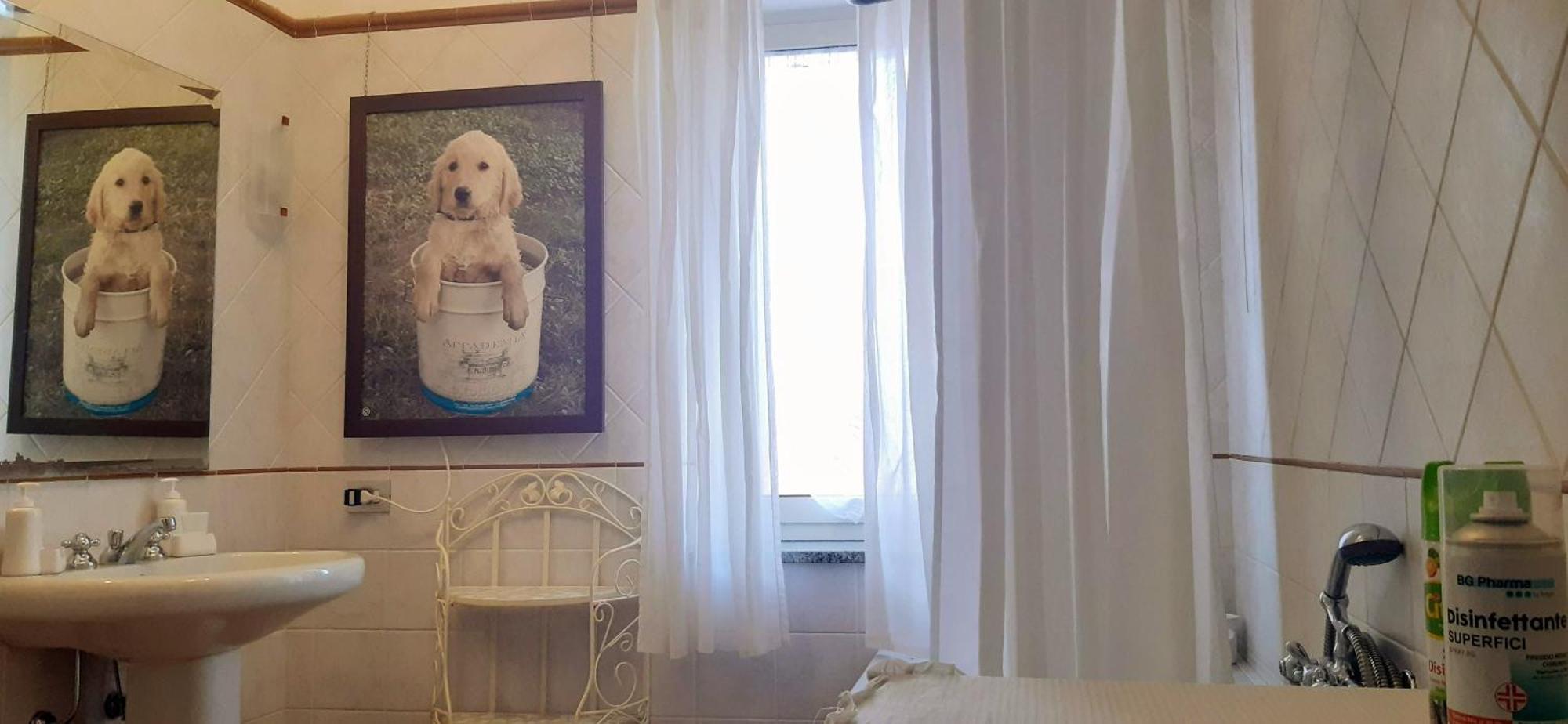 Fabiola B & B Marino Εξωτερικό φωτογραφία