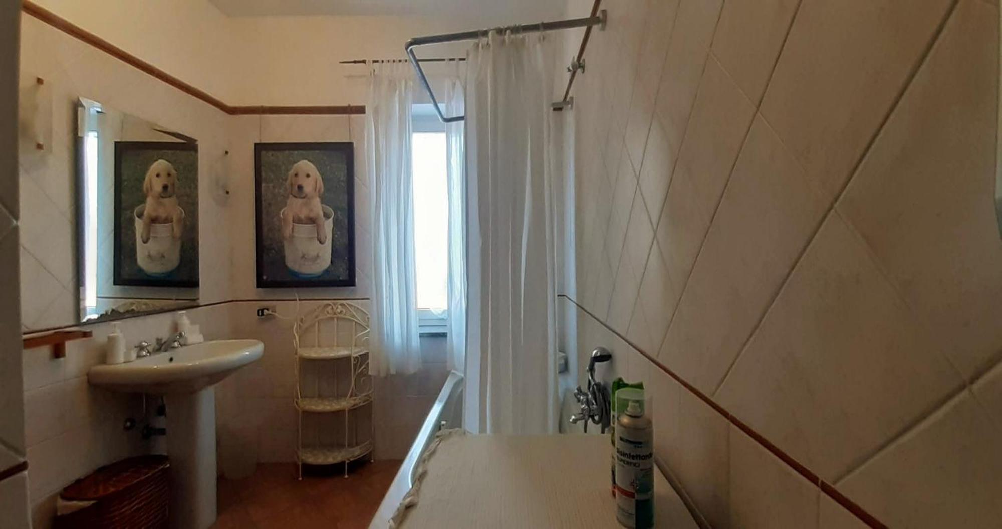 Fabiola B & B Marino Εξωτερικό φωτογραφία