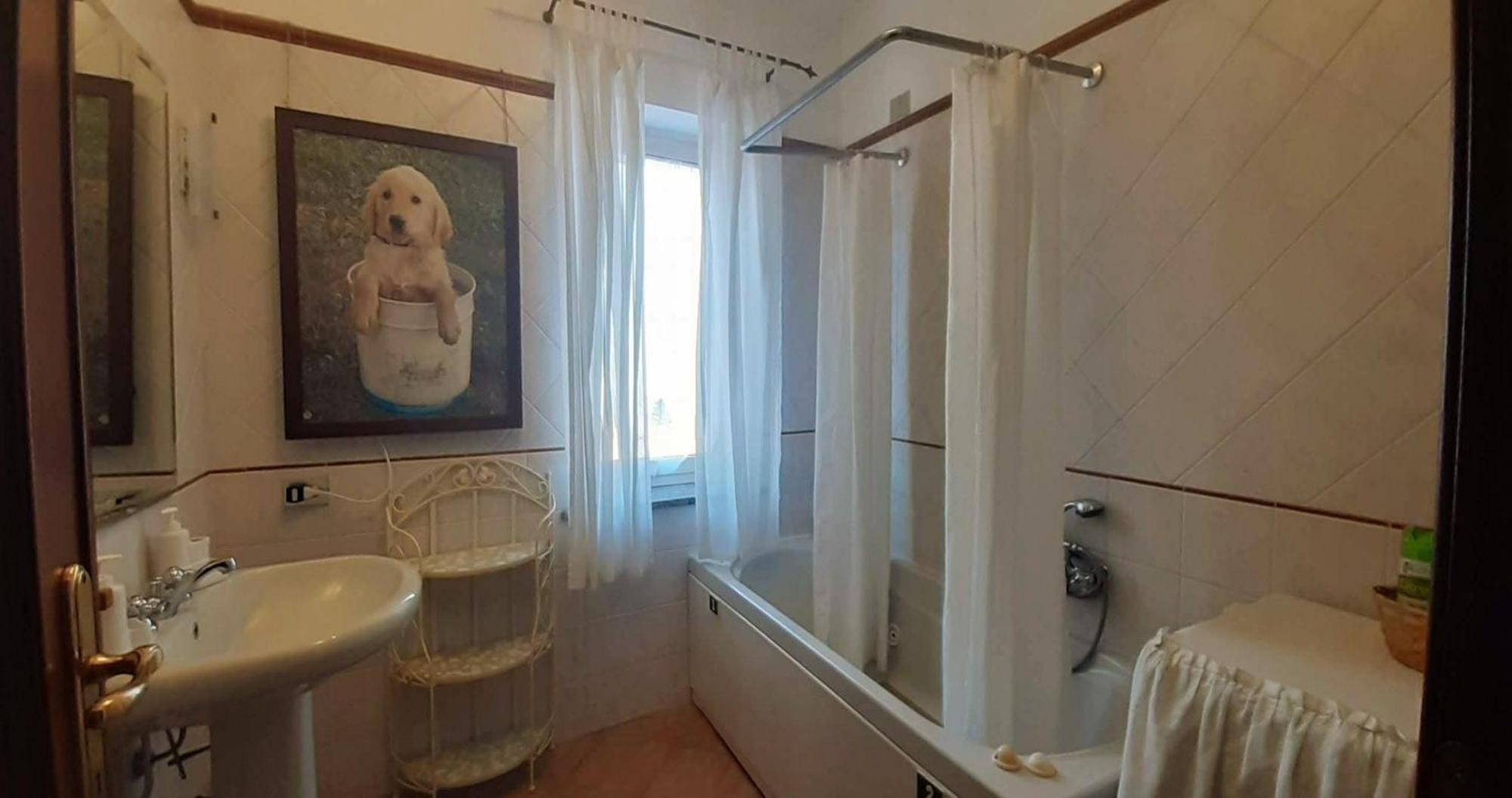 Fabiola B & B Marino Εξωτερικό φωτογραφία